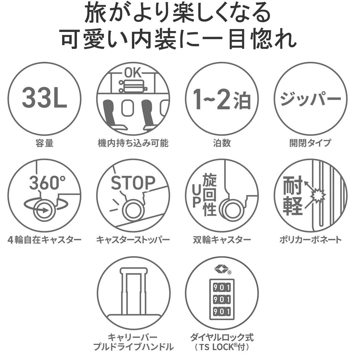 正規品5年保証】HaNT ハント mine マイン 機内持ち込み対応 スーツ