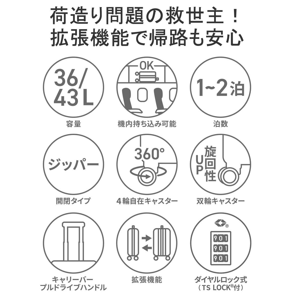 ACE DESIGNED BY ACE IN JAPAN エース デザインドバイエース インジャパン オーバル 機内持ち込み対応スーツケース 36L  43L 06421｜【正規販売店】カバン・小物の専門店のギャレリアモール