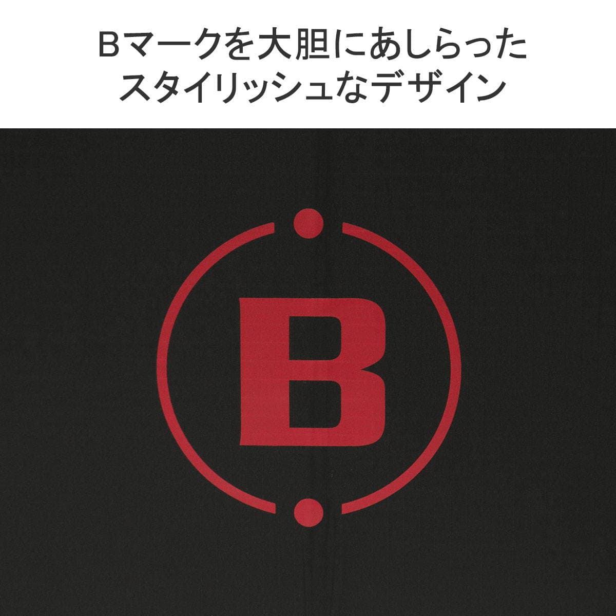 日本正規品】BRIEFING GOLF ブリーフィング ゴルフ CARBON SHAFT