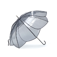 because rR[Y Clear Umbrella Color Piping P B-530103