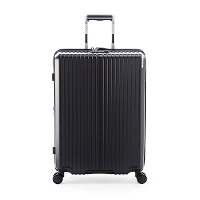 y10Nۏ؁zAsia Luggage AWAEQ[W Solid Knight X[cP[X 75L 86L ALI-075-24W